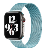 Metal Apple Watch Band